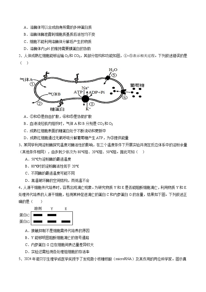 信息必刷卷03（北京专用）（原卷版）第2页