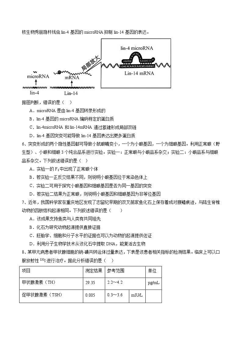 信息必刷卷03（北京专用）（原卷版）第3页