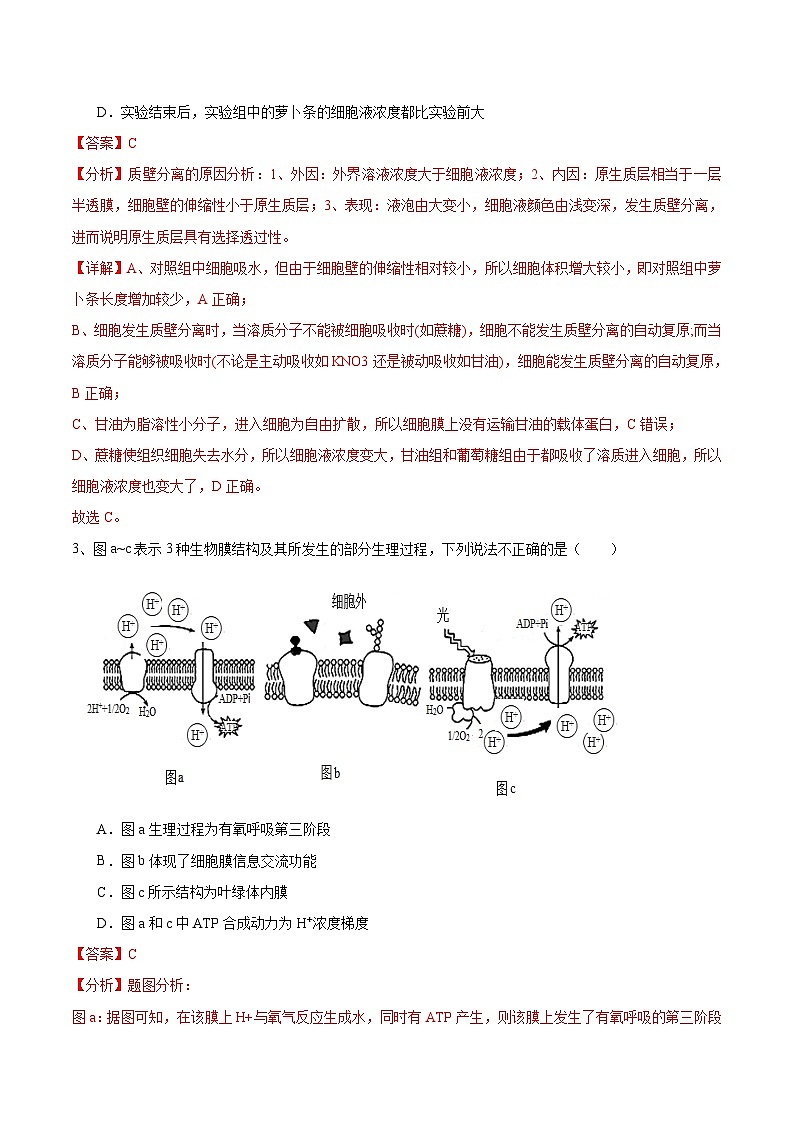 信息必刷卷04（北京专用）（解析版）第3页