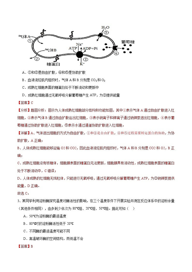 信息必刷卷03（北京专用）（解析版）第3页