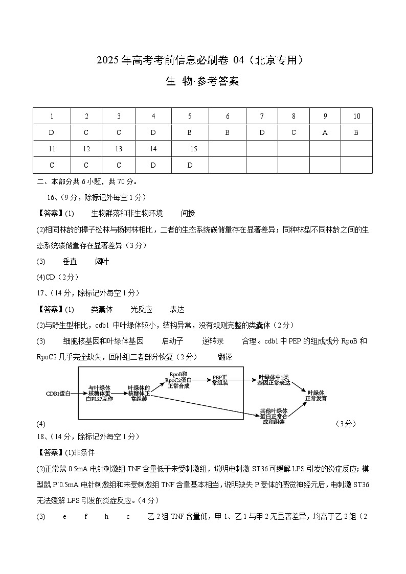 信息必刷卷04（北京专用）（参考答案）第1页