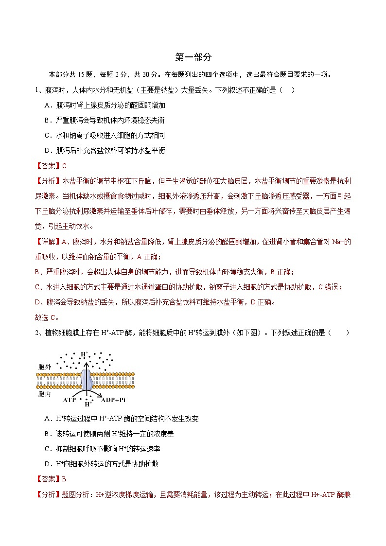 信息必刷卷02（北京专用）（解析版）第2页