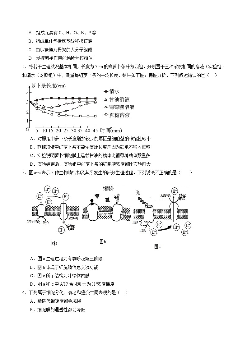 信息必刷卷04（北京专用）（原卷版）第2页