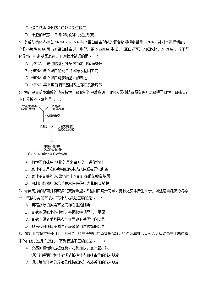 信息必刷卷04（北京专用）（原卷版）第3页