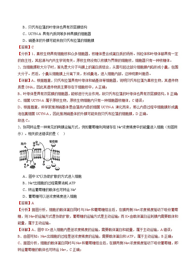 信息必刷卷01（北京专用）（解析版）第2页