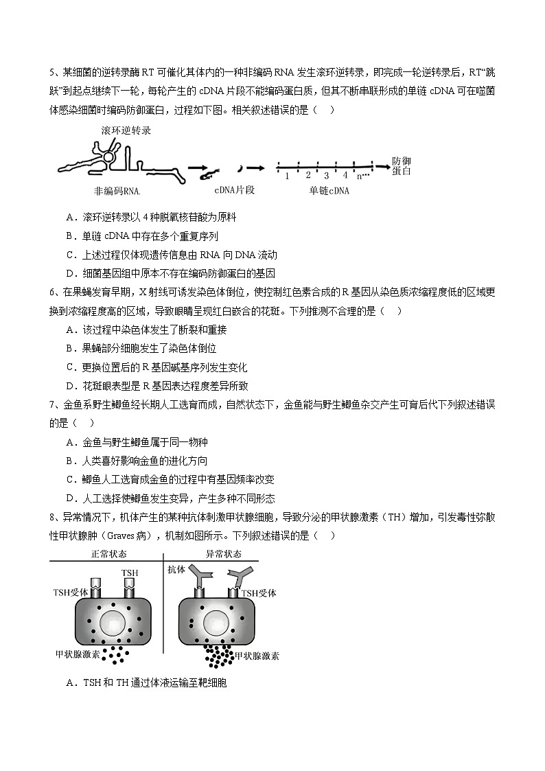 信息必刷卷02（北京专用）（原卷版）第3页