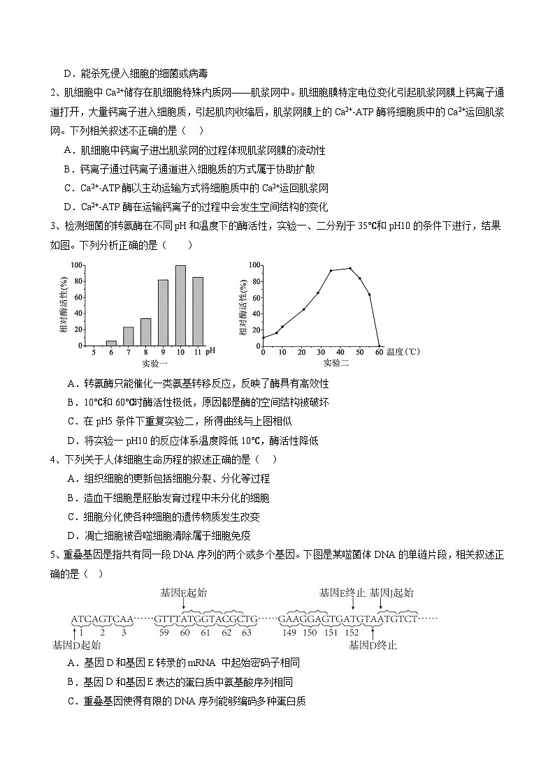 信息必刷卷05（北京专用）（原卷版）第2页