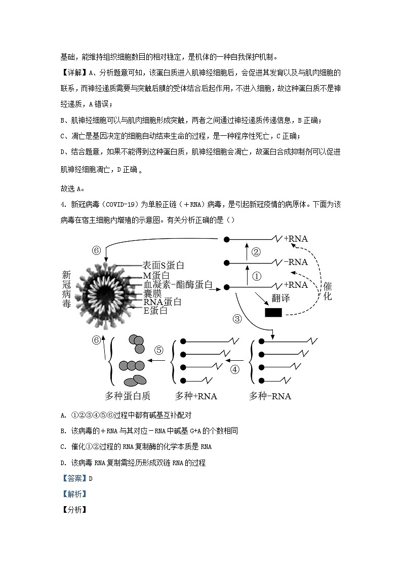 四川省内江市2023_2024学年高三生物下学期入学考试理综试题含解析第3页