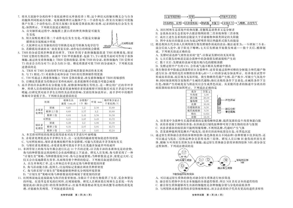 2025.4齐鲁名校大联考高三生物第2页