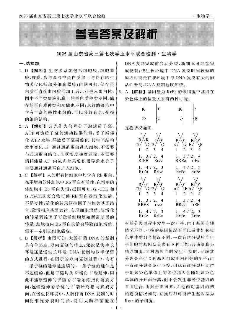 2025.4齐鲁名校大联考高三生物答案第1页