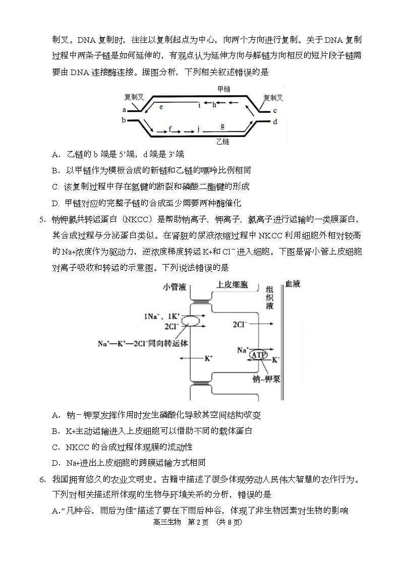 海南省省直辖县级行政单位文昌市文昌中学2024-2025学年高三第五次月考（4月）生物试题第2页