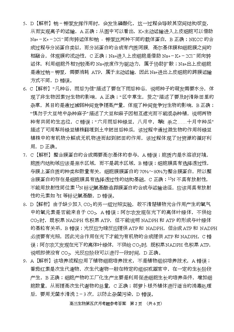 高三生物月考答案（24-25第二学期）第2页