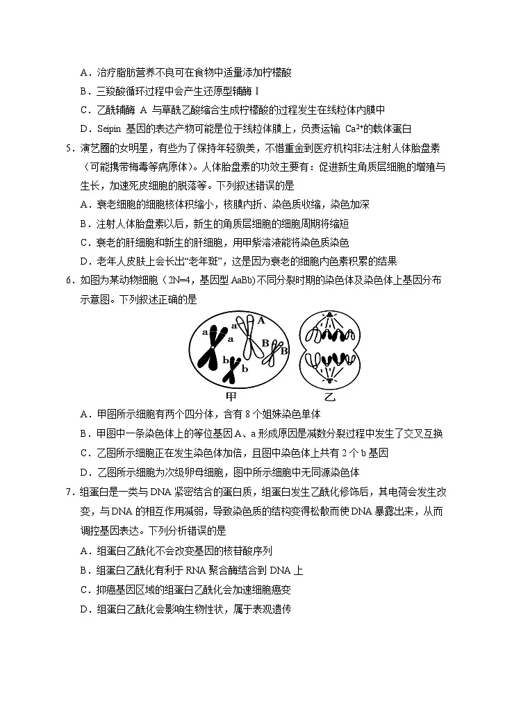 宁夏回族自治区银川一中2025届高三下学期4月二模试题 生物 含答案第2页