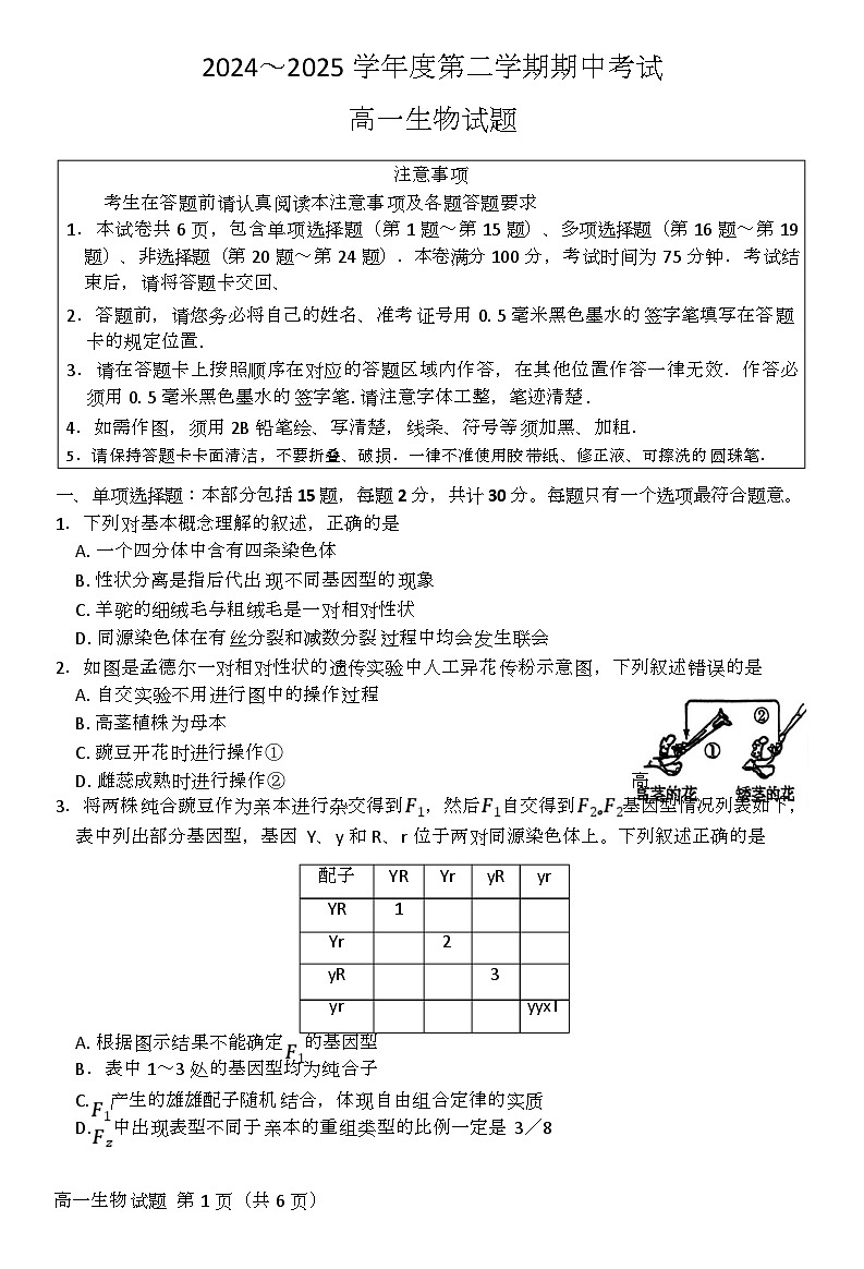 江苏省徐州市2024-2025学年高一下学期期中考试生物试题 含答案第1页