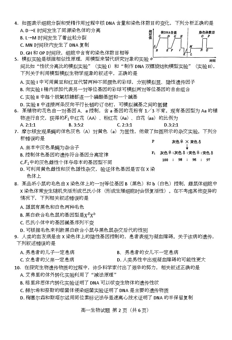 江苏省徐州市2024-2025学年高一下学期期中考试生物试题 含答案第2页