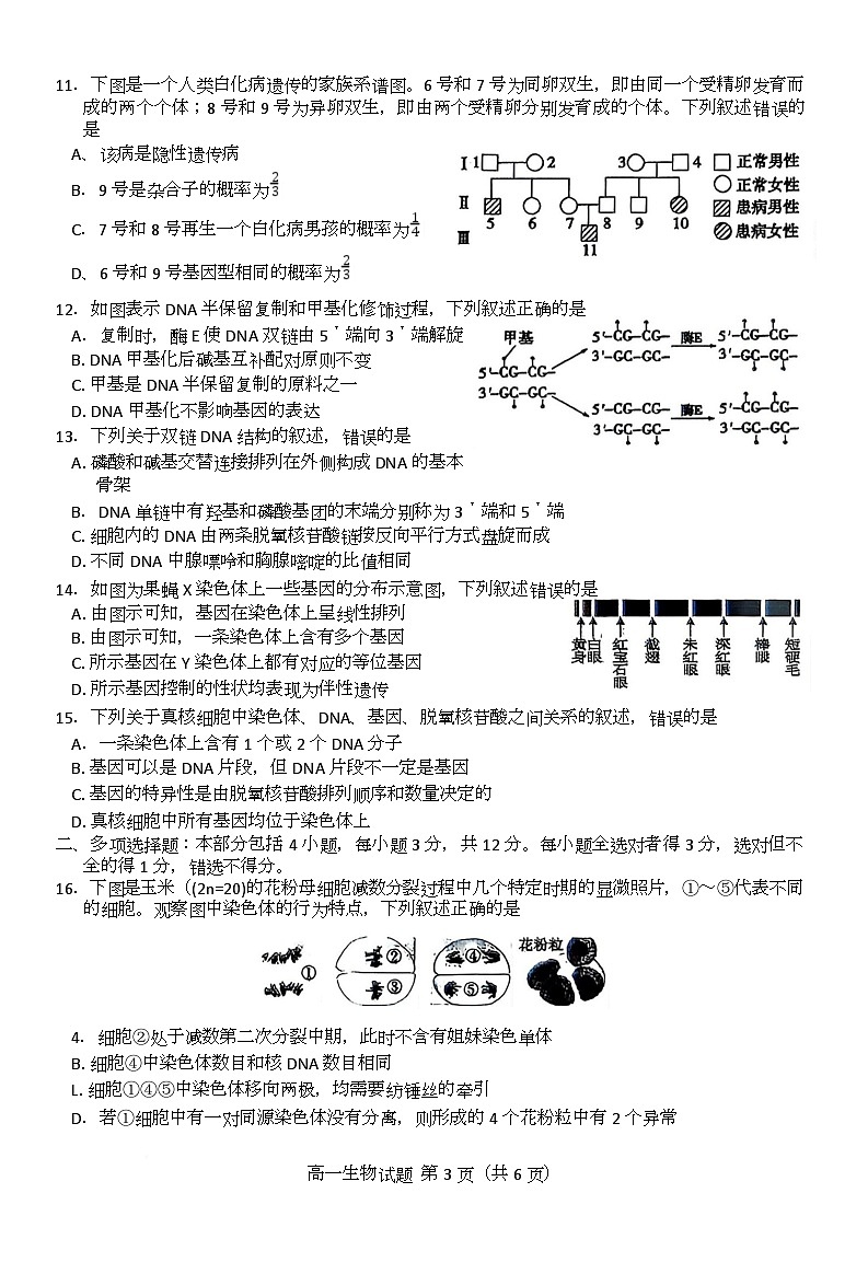 江苏省徐州市2024-2025学年高一下学期期中考试生物试题 含答案第3页