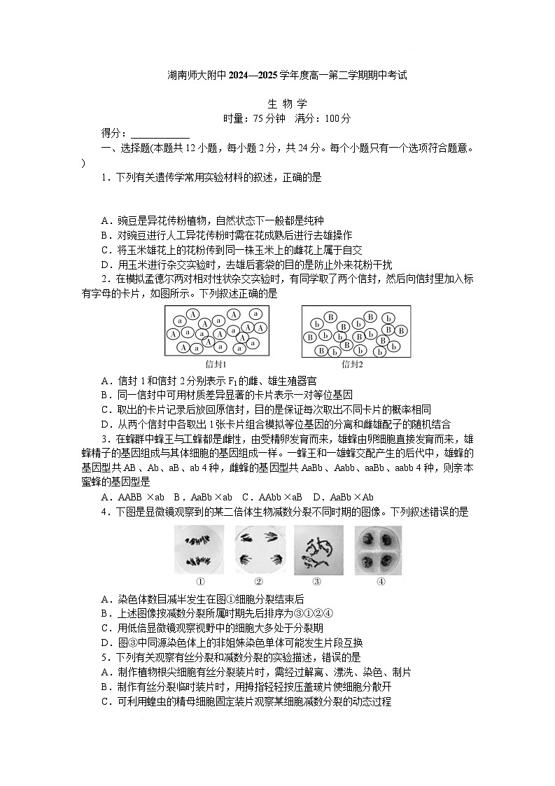 湖南省长沙市湖南师大附中2024-2025学年高一下学期4月期中生物试题 含解析第1页
