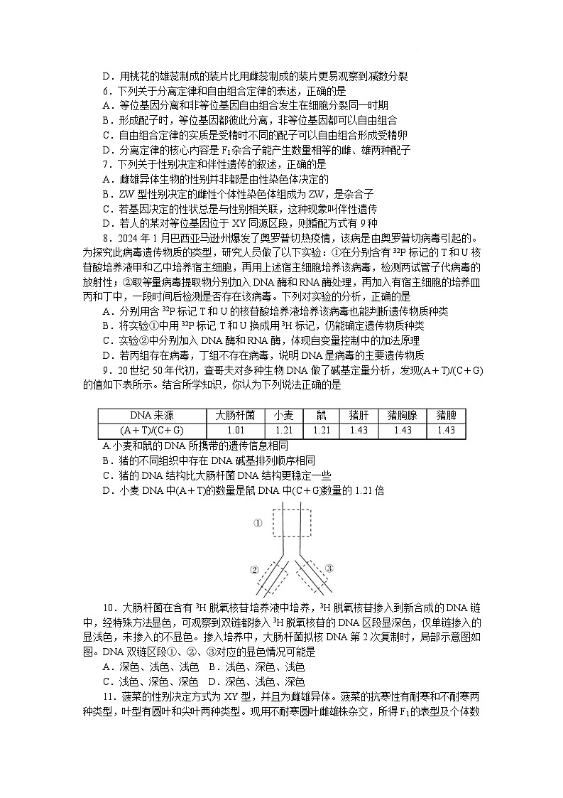 湖南省长沙市湖南师大附中2024-2025学年高一下学期4月期中生物试题 含解析第2页