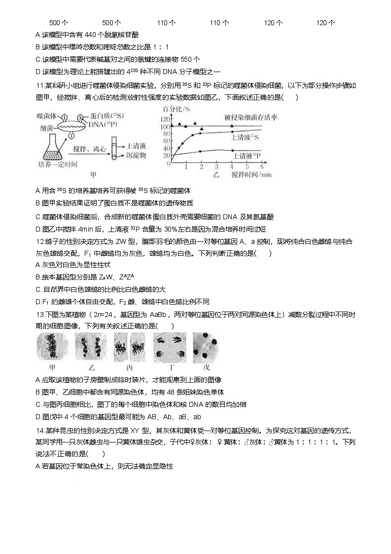 福建省龙岩市一级校联盟2024-2025学年高一下学期4月期中考联考生物试卷（Word版附答案）第3页