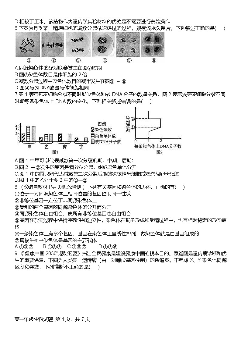 河南省南阳市十校联盟体2024-2025学年高一下学期期中模拟联考生物试卷（Word版附解析）第2页