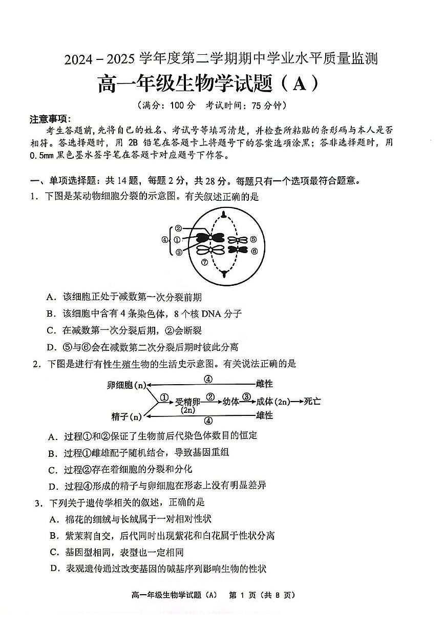 江苏省连云港市赣榆区2024-2025学年高一下学期4月期中考试生物试卷（PDF版附答案）第1页