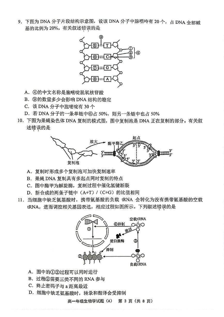 江苏省连云港市赣榆区2024-2025学年高一下学期4月期中考试生物试卷（PDF版附答案）第3页