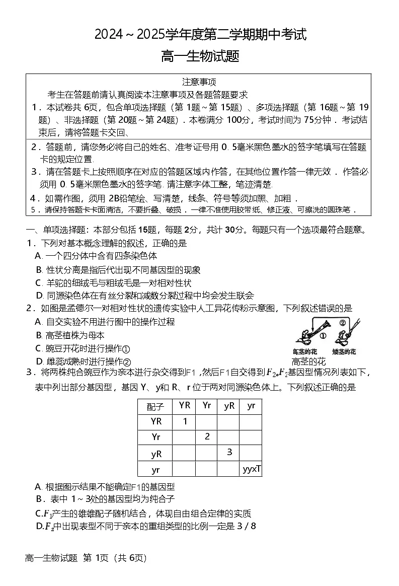 江苏省徐州市2024-2025学年高一下学期期中考试生物试卷（Word版附答案）第1页