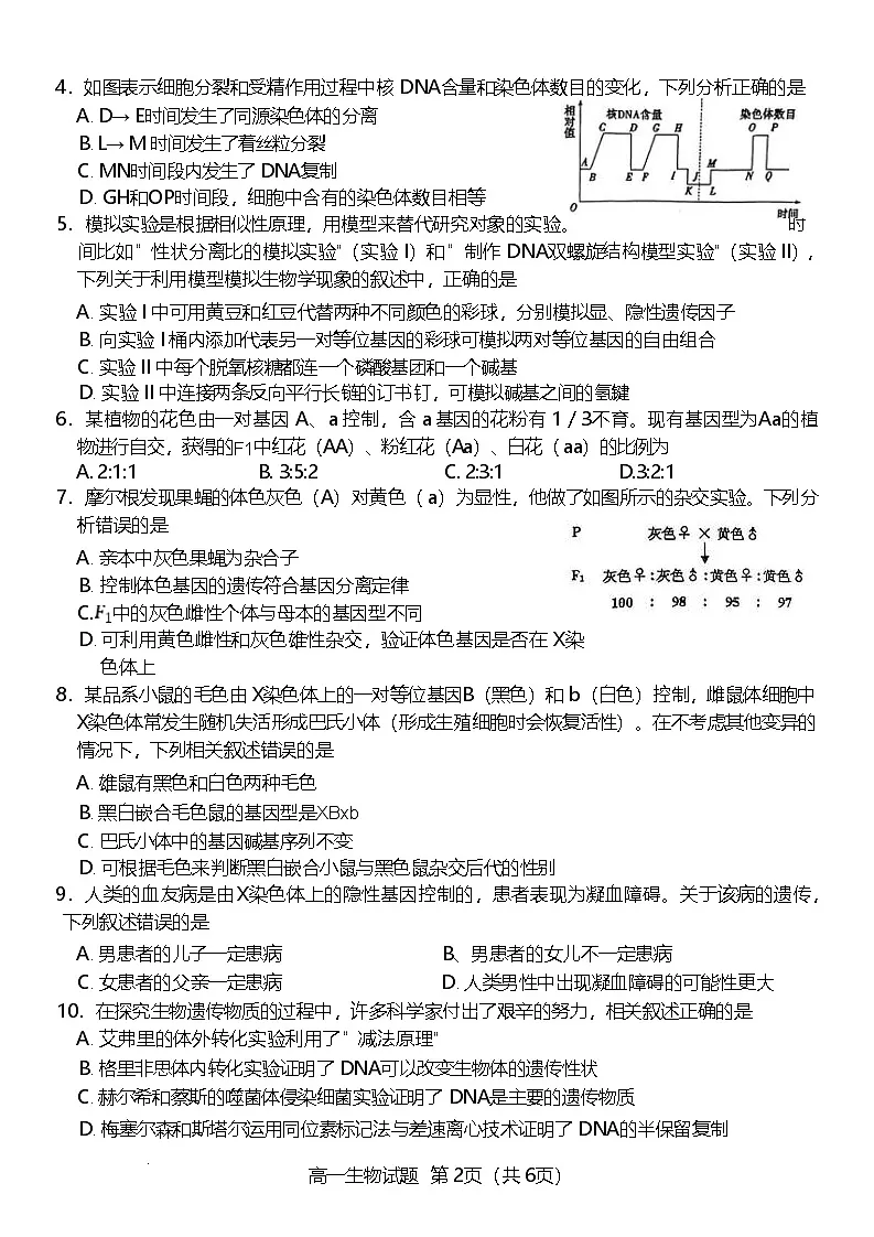 江苏省徐州市2024-2025学年高一下学期期中考试生物试卷（Word版附答案）第2页
