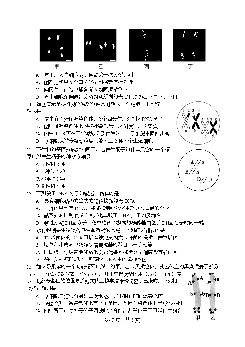 江苏省盐城市联盟校2024-2025学年高一下学期4月期中生物试题第3页