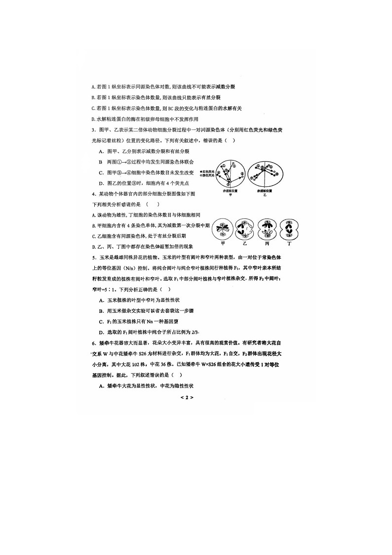 山东省临沂第一中学2024-2025学年下学期高一3月第五次教学检测生物试卷含答案第2页