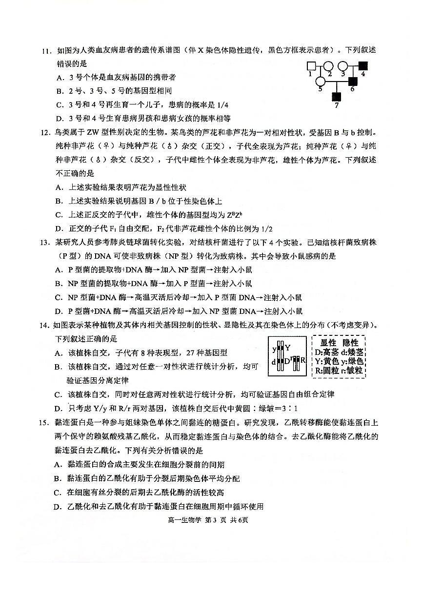 广西河池市十校2024-2025学年高一下学期校联体第一次联考生物试题（PDF版附解析）第3页