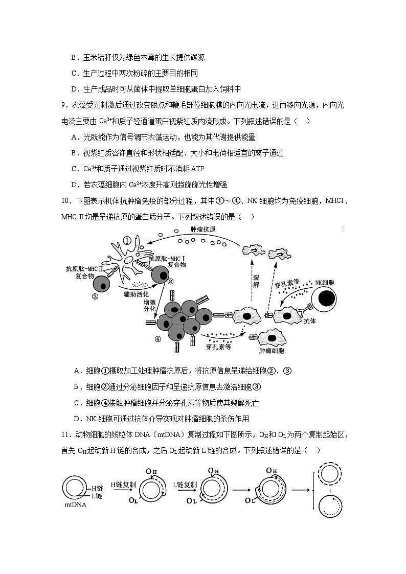2025年东北三省四城市联考暨沈阳市高三质量监测（二）生物试题（附答案解析）第3页