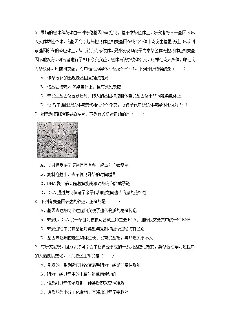 河北省邯郸市2025届高三第四次调研检测生物试卷（无答案）第2页