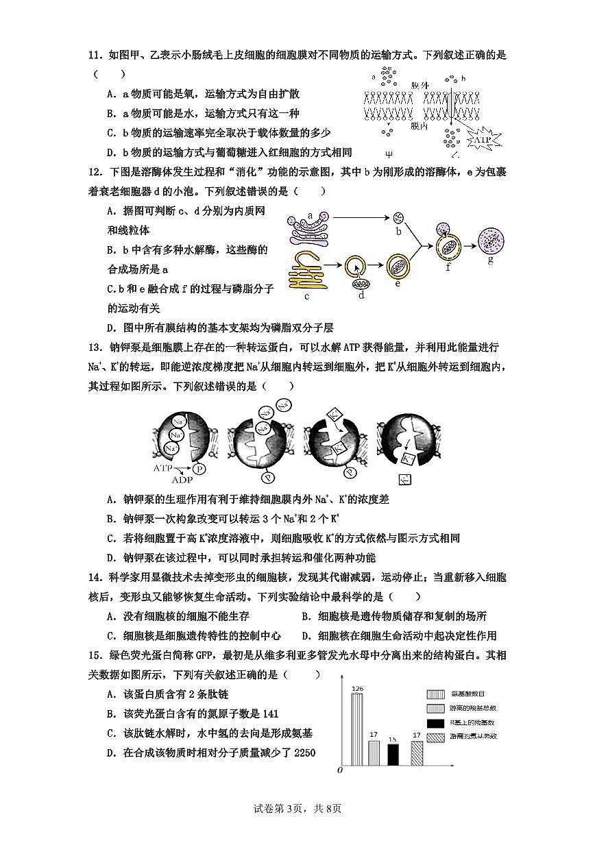 广东省深圳市盐田高级中学2023-2024学年高一上学期1月期末试题生物（含答案）第3页