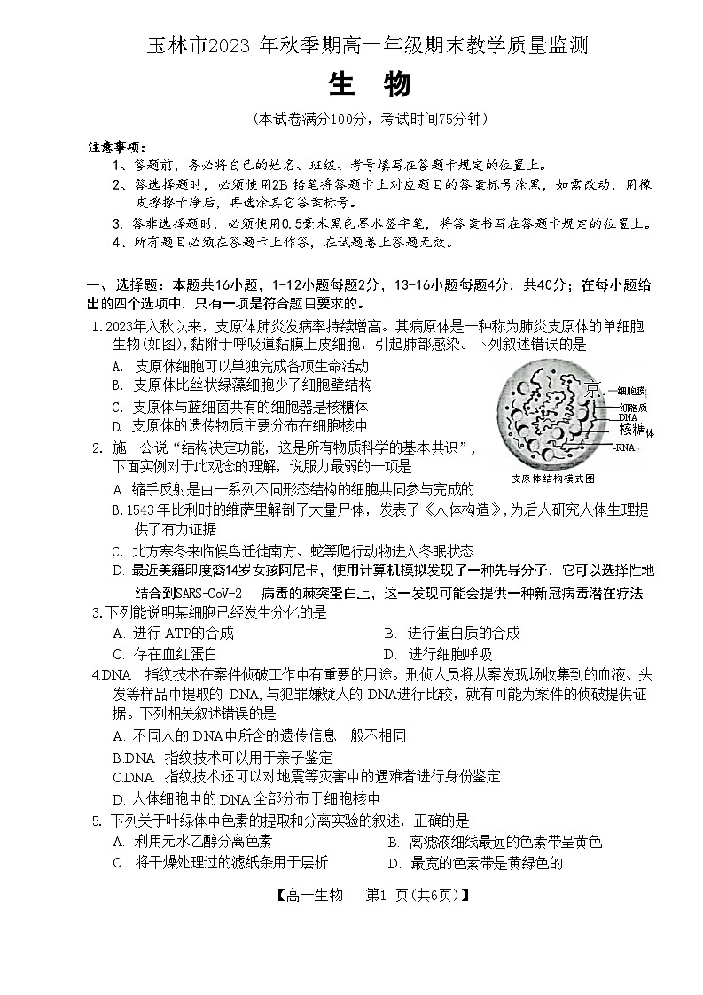 广西壮族自治区玉林市2023-2024学年高一上学期期末考试生物试题（含答案）第1页