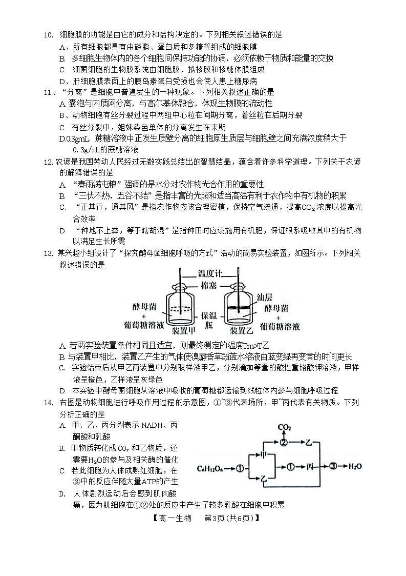 广西壮族自治区玉林市2023-2024学年高一上学期期末考试生物试题（含答案）第3页