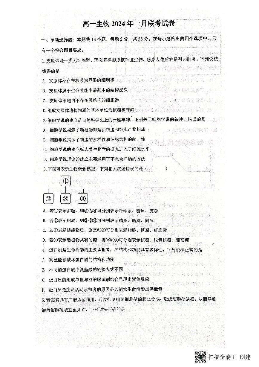 河北省保定市部分学校2023-2024学年高一上学期1月月考生物试题（含答案）第1页