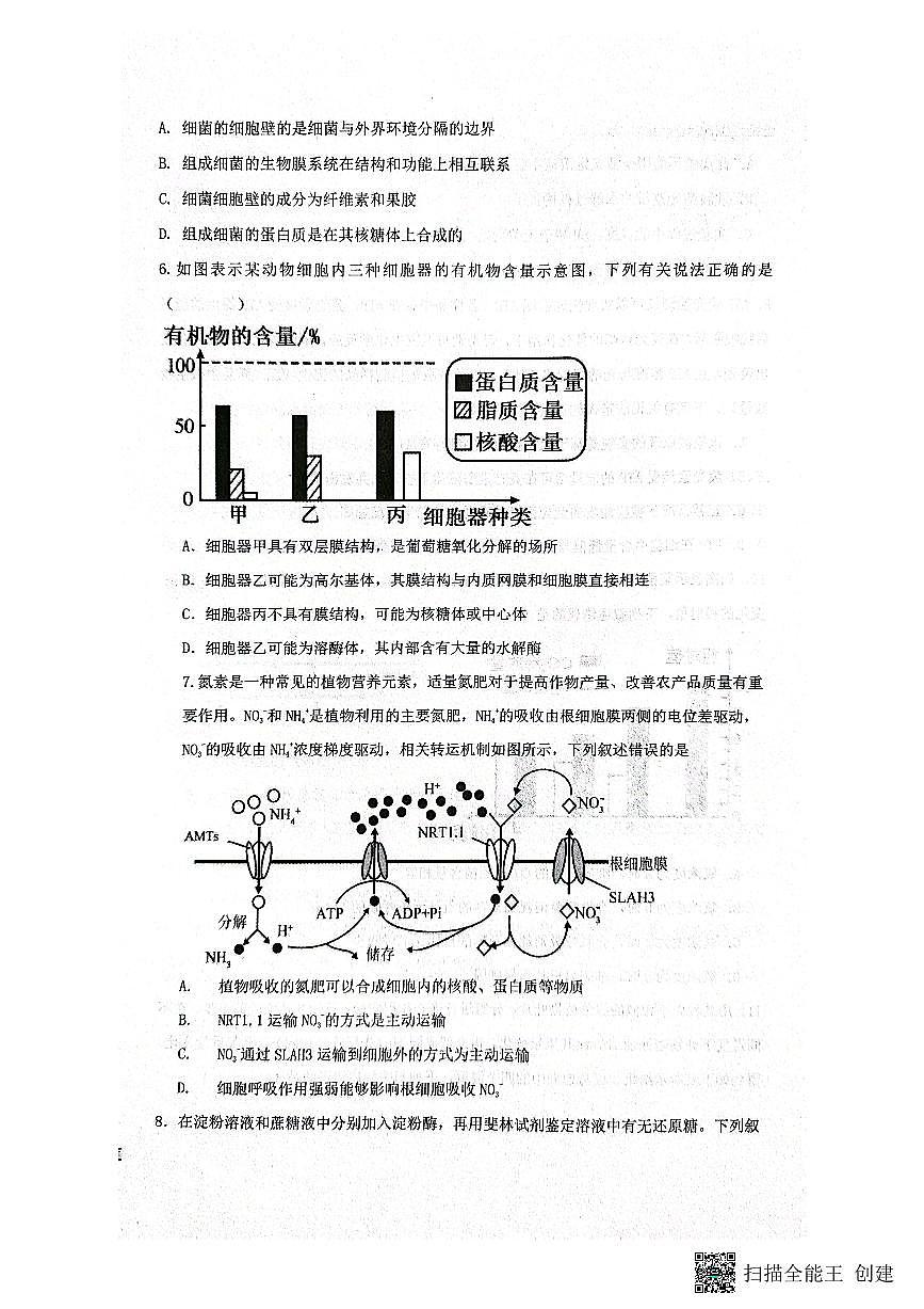 河北省保定市部分学校2023-2024学年高一上学期1月月考生物试题（含答案）第2页
