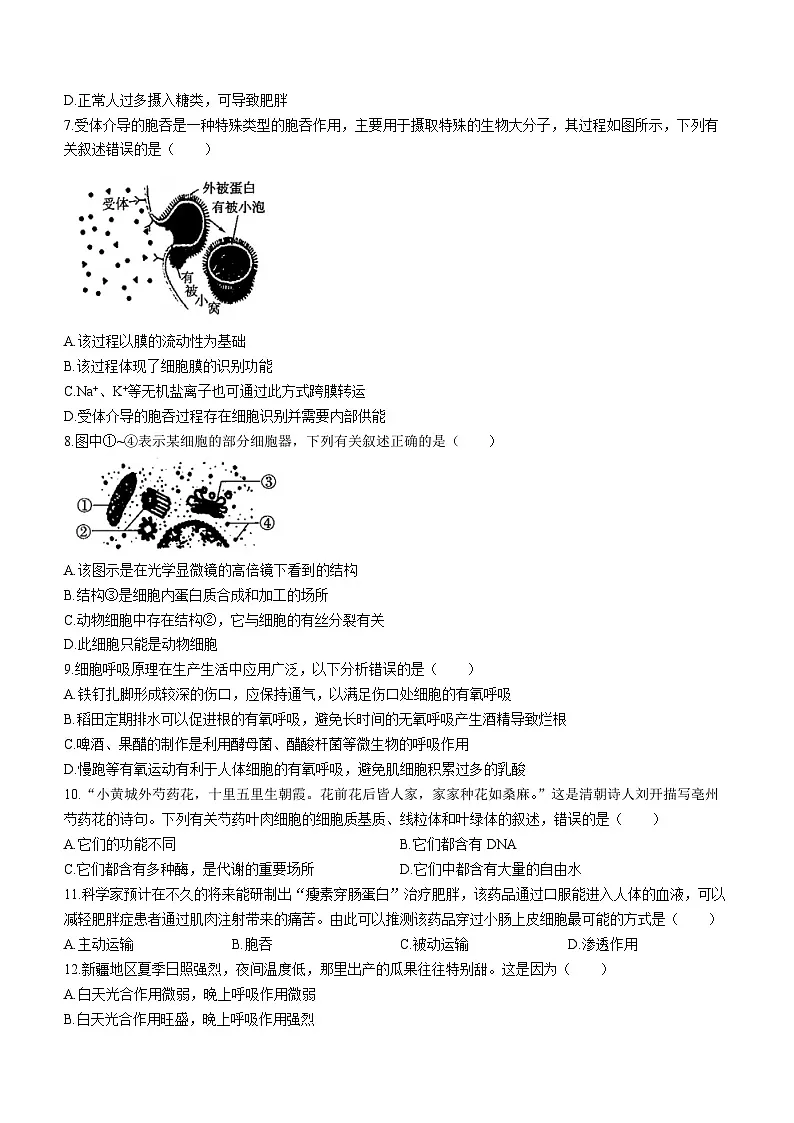 河北省衡水中学2023-2024学年高一上学期1月期末生物试题（含答案）第2页