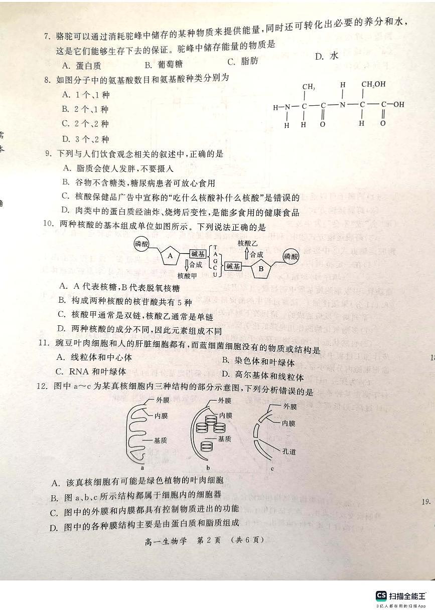 河南省开封市2023-2024学年高一上学期1月期末生物试题（含答案）第2页