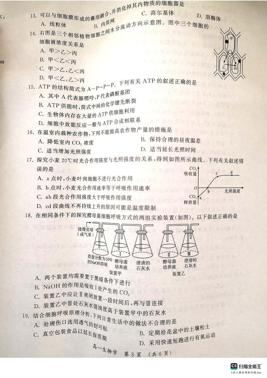 河南省开封市2023-2024学年高一上学期1月期末生物试题（含答案）第3页