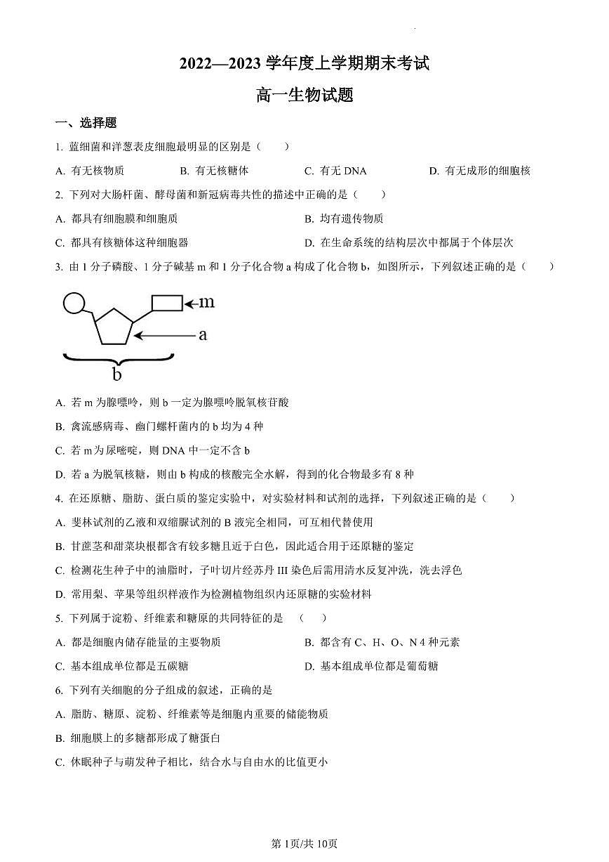 黑龙江省齐齐哈尔市八中2022-2023学年高一1月期末生物试题（含答案）第1页