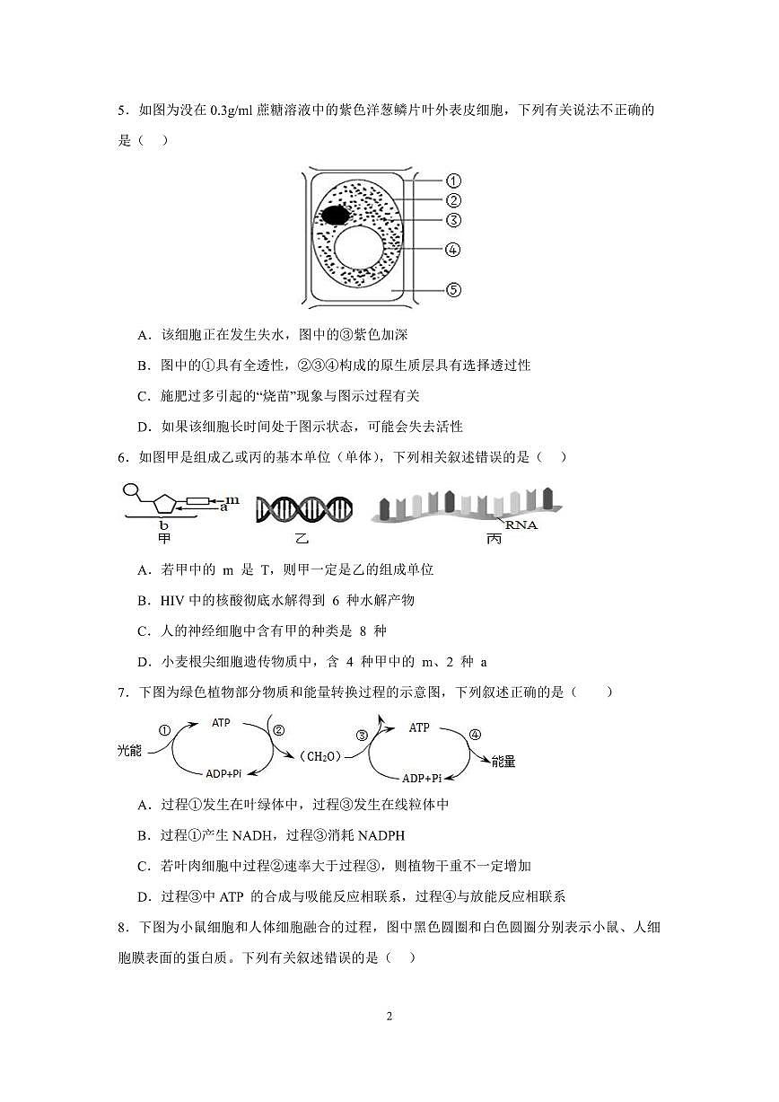 湖南省娄底市涟源市2023-2024学年高一上学期1月期末生物试题（含答案）第2页