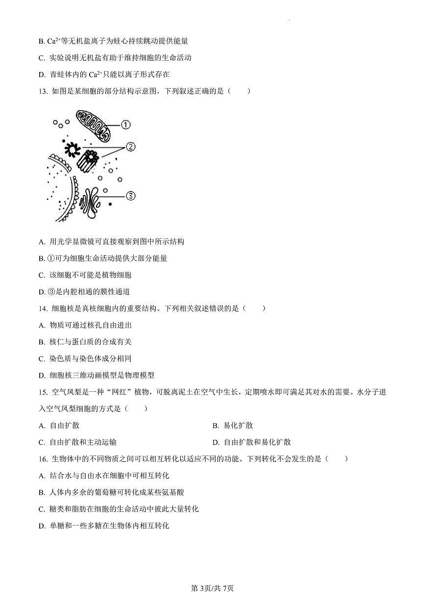 吉林省梅河口市五中2023-2024学年高一上学期期末生物试题（含答案）第3页