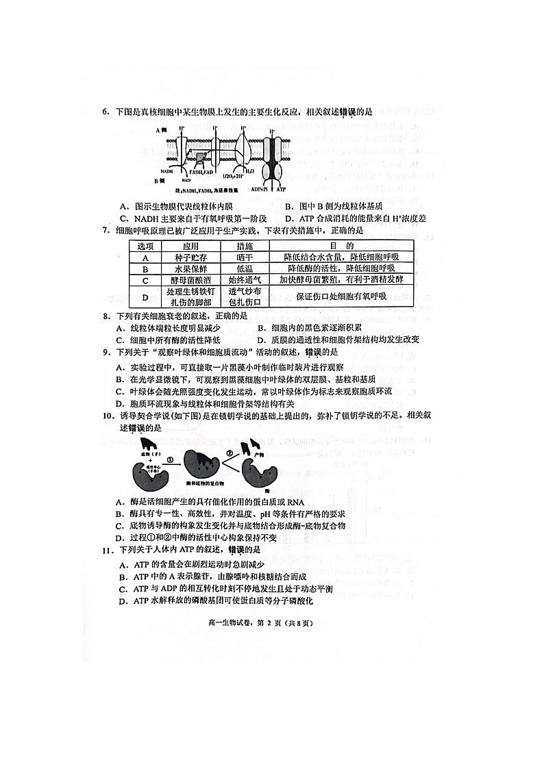 江苏省南通市海安市2023-2024学年高一上学期1月期末生物试题（含答案）第2页