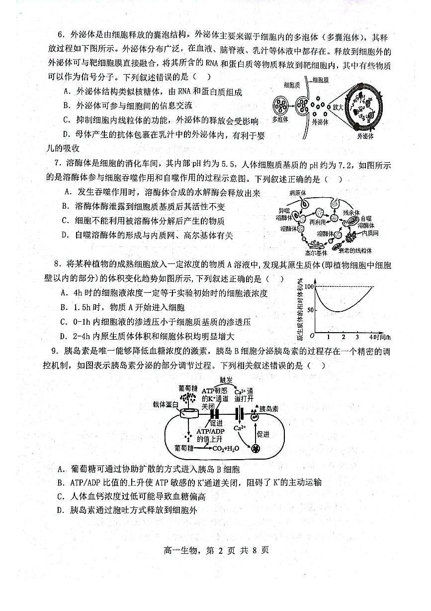辽宁省部分学校2023-2024学年高一上学期1月期末试题生物（含答案）第2页