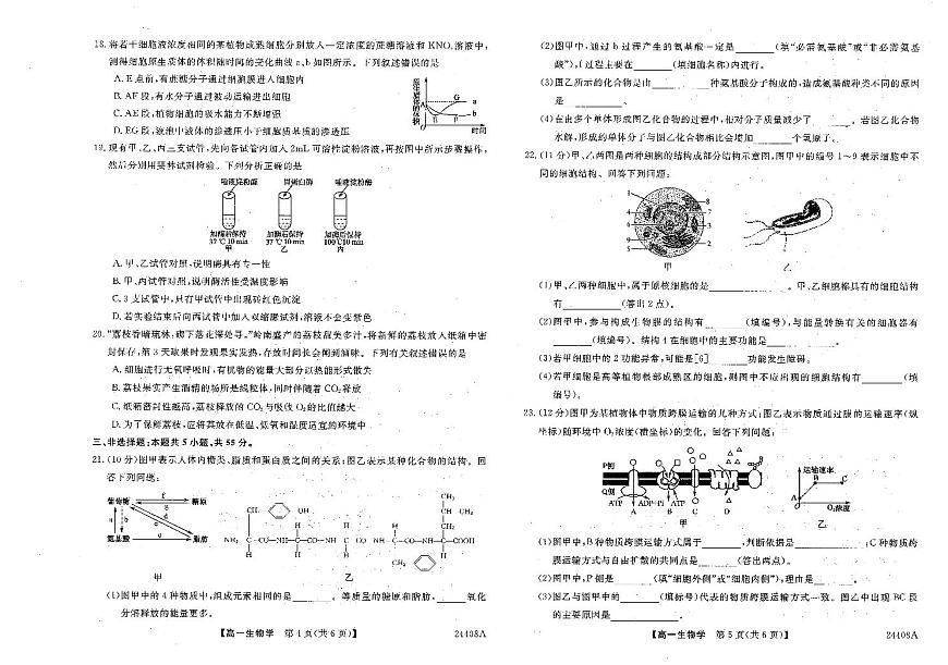 辽宁省朝阳市2023-2024学年高一上学期1月期末生物试题（含答案）第3页