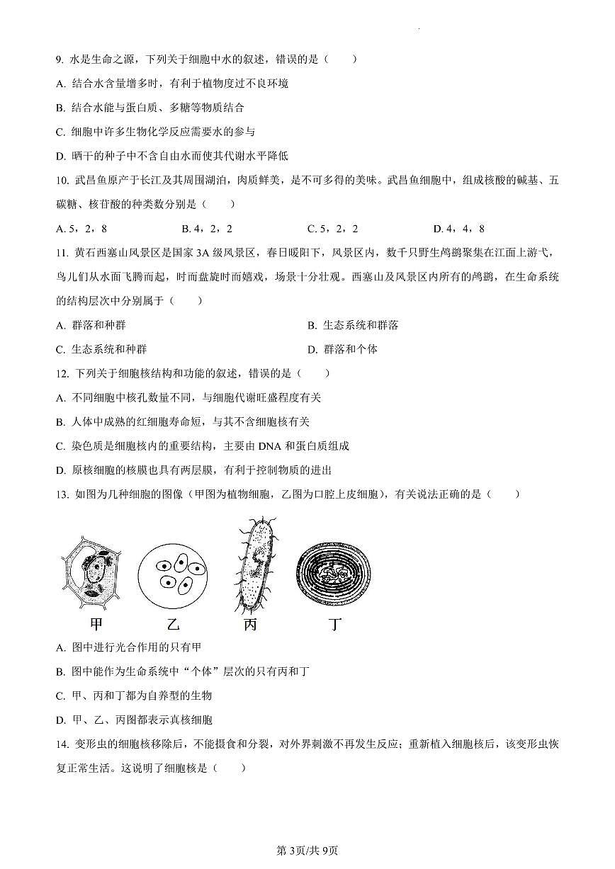 辽宁省朝阳市建平县实验中学2023-2024学年高一12月月考生物试题（含答案）第3页
