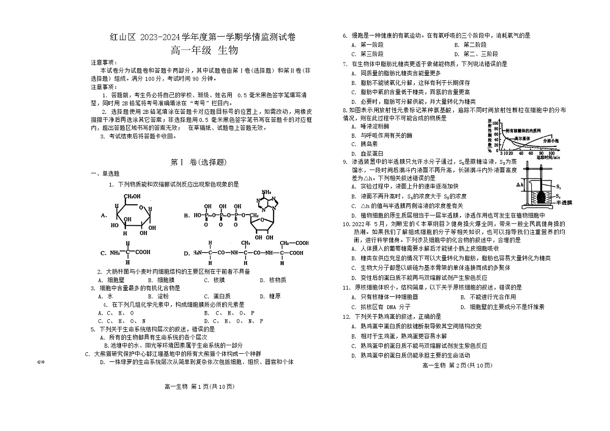内蒙古自治区赤峰市红山区2023-2024学年高一上学期期末考试生物试题（含答案）第1页