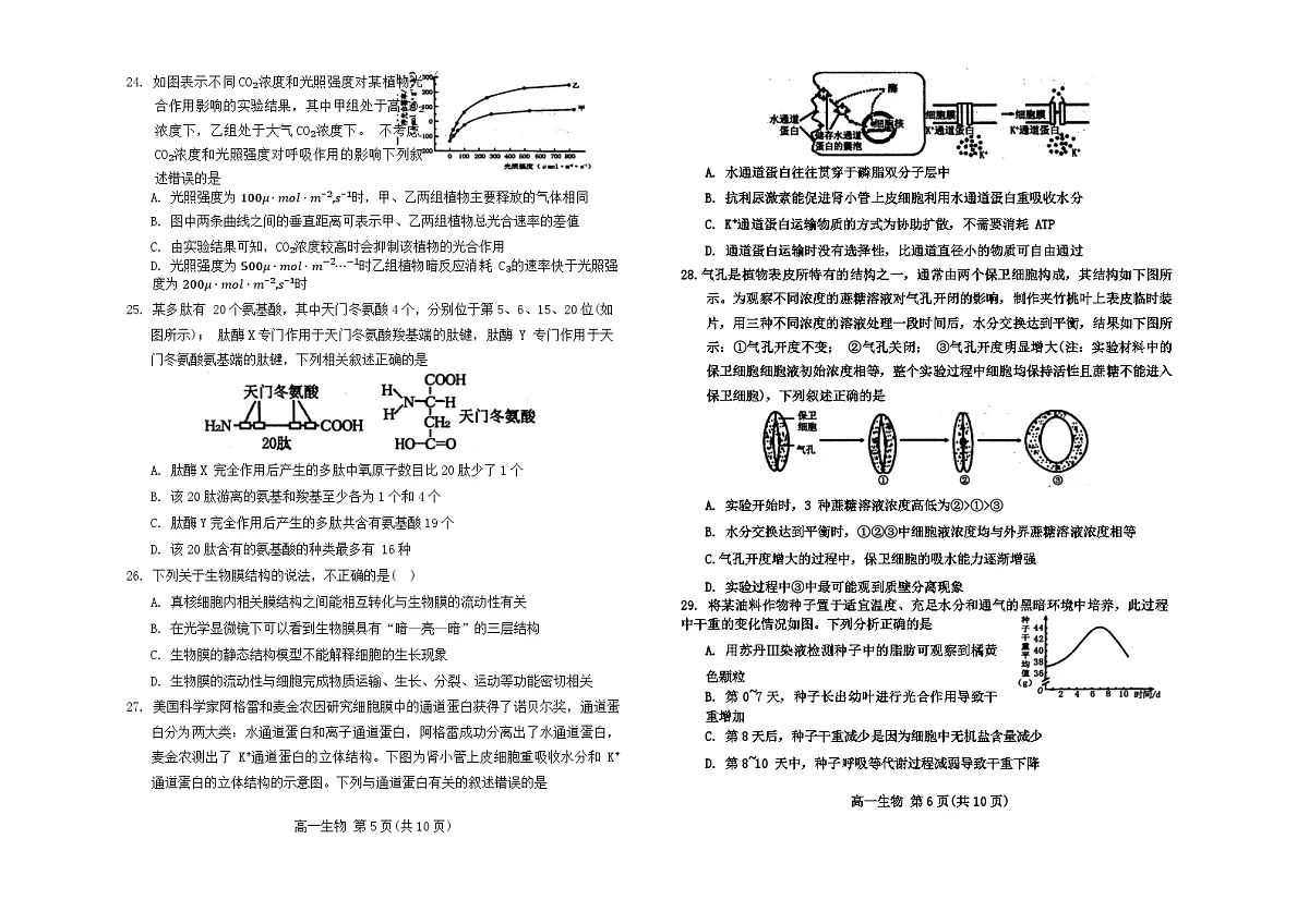内蒙古自治区赤峰市红山区2023-2024学年高一上学期期末考试生物试题（含答案）第3页